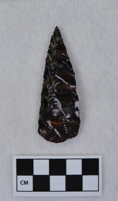 Ce.2886