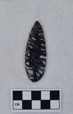 Ce.2913