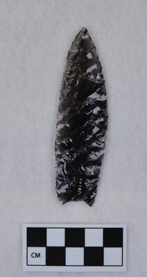 Ce.3876
