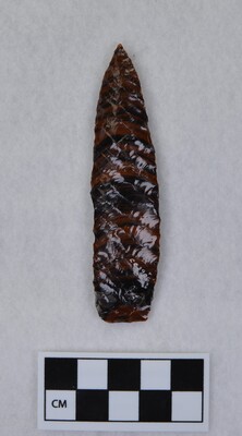 Ce.3906
