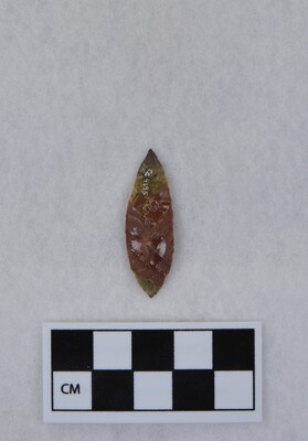 Ce.4195