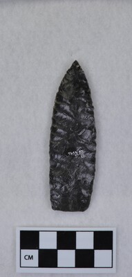 Ce.4196