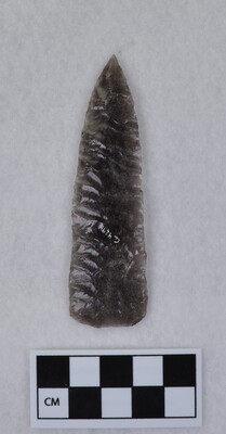 Ce.4294