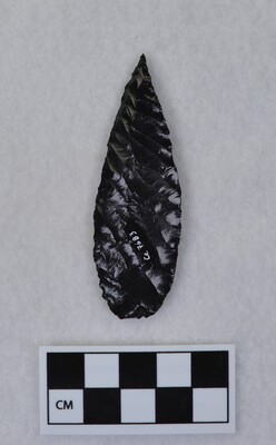 Ce.7683