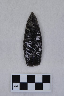 Ce.7868