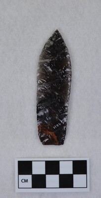 Ce.9831