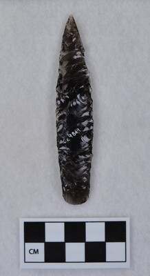 Ce.9869