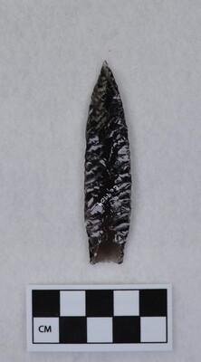 Ce.9904