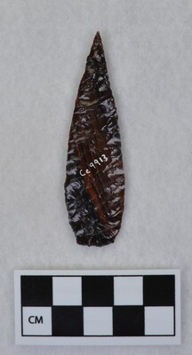 Ce.9913