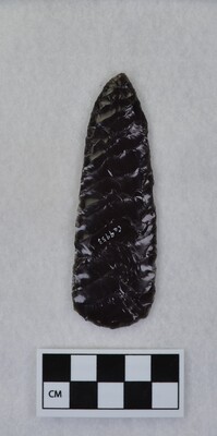 Ce.9953