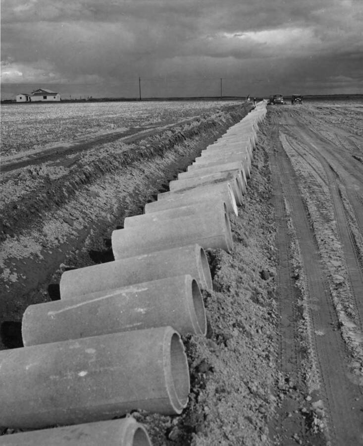 Columbia Basin Project, Irrigation Division, Pasco Settlers. Laying irrigation pipe (1200 feet) at the M.E. Chefley farm, unit 35. H. Foss, photographer