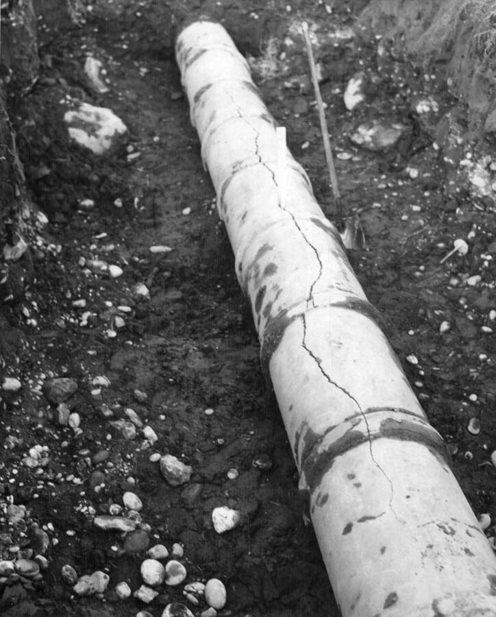 Cracked 18' irrigation pipe on Pasco Pump Laterals PP-6.0-0.5-1.3 Station 86+74.5-87+01.5 looking upstream. Pipe burst due to internal pressure when testing pipeline. Pipe laid in October, 1946. Tested October, 1948. A.F. Swanson, photographer