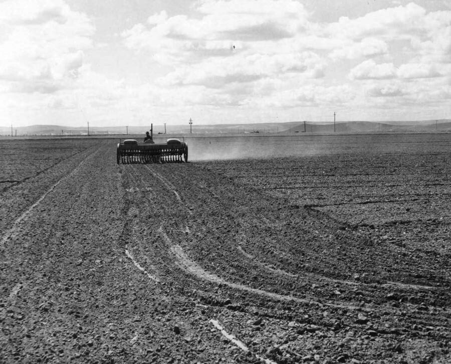 Columbia Basin Project, Irrigation Division, Pasco Settlers. Sowing oats on the Keith Cunningham farm, Unit 37. Looking south, highway in the distance. H. Foss, photographer