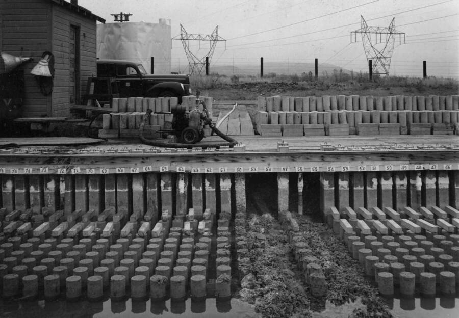 View of concrete specimens being tested for resistance to sulfate waters in ponds at elevation 1930 southwest of the 230-Kv switchyard at Coulee Dam. View shows cylinders, bars, and posts from test batches 48-72 setting in original alkali pond prior to being permanently transferred to a second pond because of leakage. Depth of water in pictures is about 3 inches. Marks showing normal 3-foot depth can be seen on the posts below the numbers. White deposits on posts are alkali deposits. Note serious deterioration of specimens of batches 55, 56, 57, 58, 59, 60, 61, 62, and 64. Behind platform are fresh water specimens from the second pond stored on the ground during the interchange of specimens.