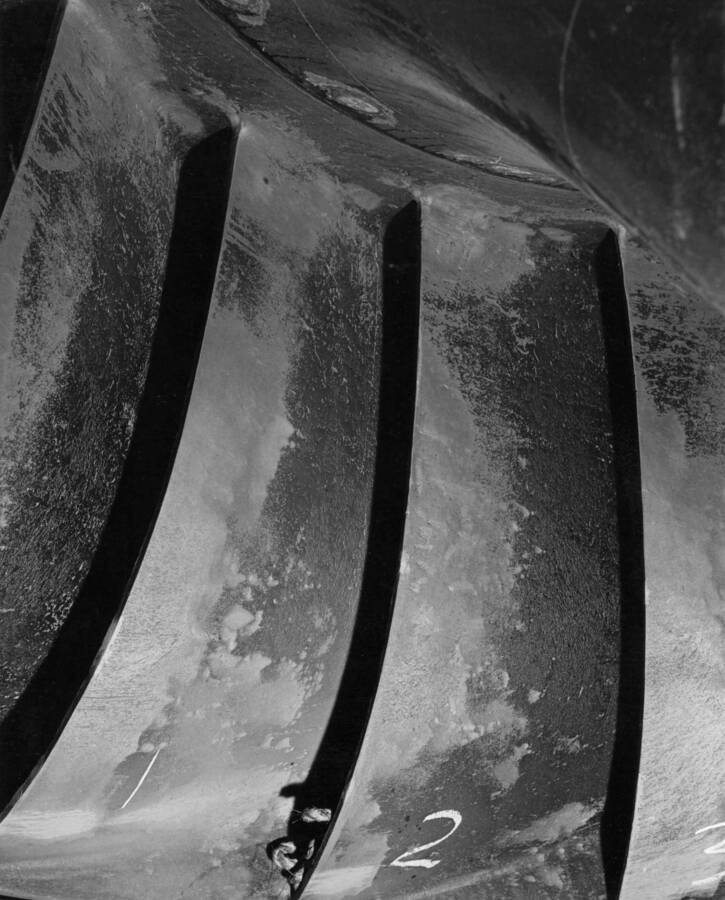 Surface of vanes of turbine runner L-2. This view of the inner surface of the runner vanes shows where the paint has been eroded to bright metal along the trailing edge of the vanes. The bright surfaces had a sand blasted appearance as evidence of cavitation. The light molting of these areas shown on the photograph is not pitting, but is rust which quickly formed on the vanes.