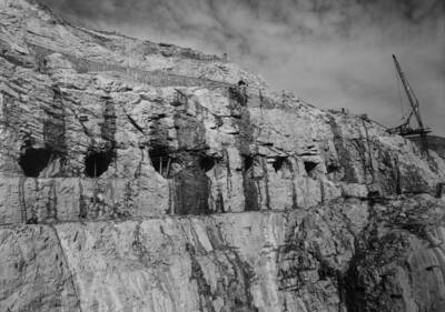 View of tunnels in the bank