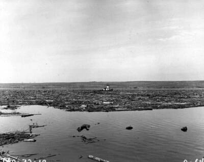 A fair-sized acreage of logs, trash, and shore debris marks the 1964 spring runoff hazard at Ice Harbor Dam on the Snake River. The trash and debris are slowly worked towards the disposal tram which carries the debris to high ground for burning. In with this trash are some million or so board feet of commercial saw logs swept downstream when a Clearwater River log boom broke during high water. The private tug in this picture is attempting to pick out these logs for salvage.