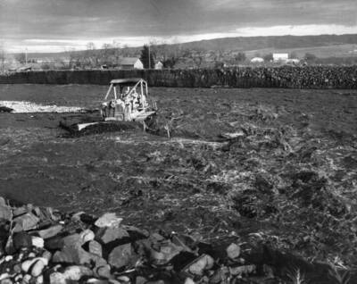 Bulldozer Jockeys have a special technique for flood fighting. It is a double action procedure of moving their equipment out into the flood stream bed and with the bulldozer blade widening the stream channel, at the same time pushing the blade load into a shore line embankment. Here is shown a bulldozer operation on the Walla Walla River in the Milton-Freewater area during the recent January flood. The channel widening, bank shoring processes can be visualized from the picture.