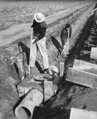 Columbia Basin Project, Irrigation Division, Pasco Settlers. At the M.E. Chefley farm, Unit 65, Mr. Chefley's father-in-law and son are helping to install 1200 feet of irrigation pipe. Here they have just completed pouring concrete for the turnout.