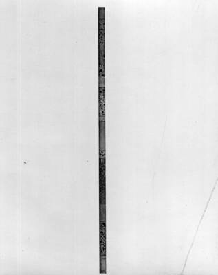 Drill core sample against white background