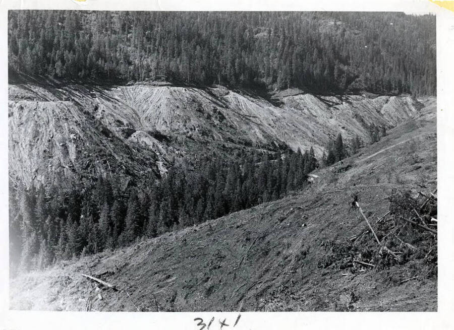 Photograph of Elk Creek.  This area being cleared is about 12 miles up the North Fork of Clearwater River.  The Association had an inspector on the job to see tha all fire laws were respected, made safety inspection, ect.  The Army Corps of Engineers paid for inspectors and patrols.  Ralph Space was one of the inspectors.