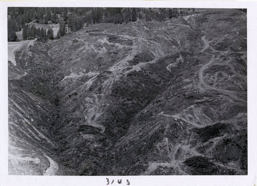 Photograph of clearing the site.