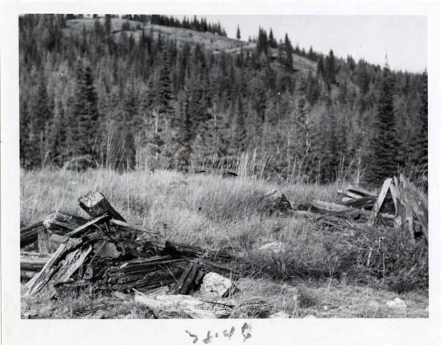 Photograph showing clearing operations.