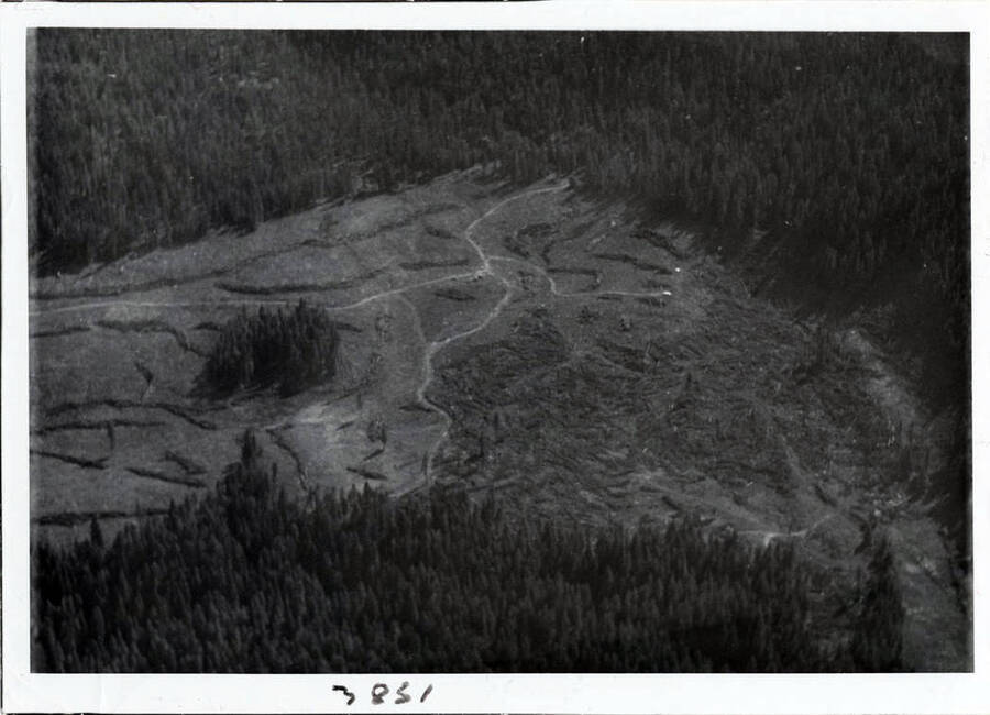 Photograph of the land clearing near Big Riffle on North Fork of Clearwater River.