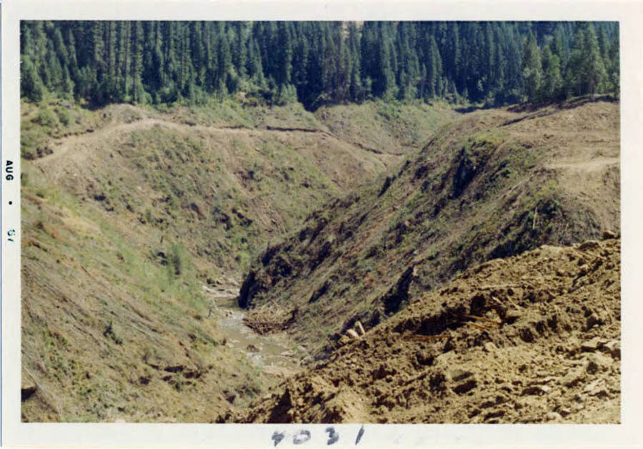 Photograph of land clearing on Elk Creek.