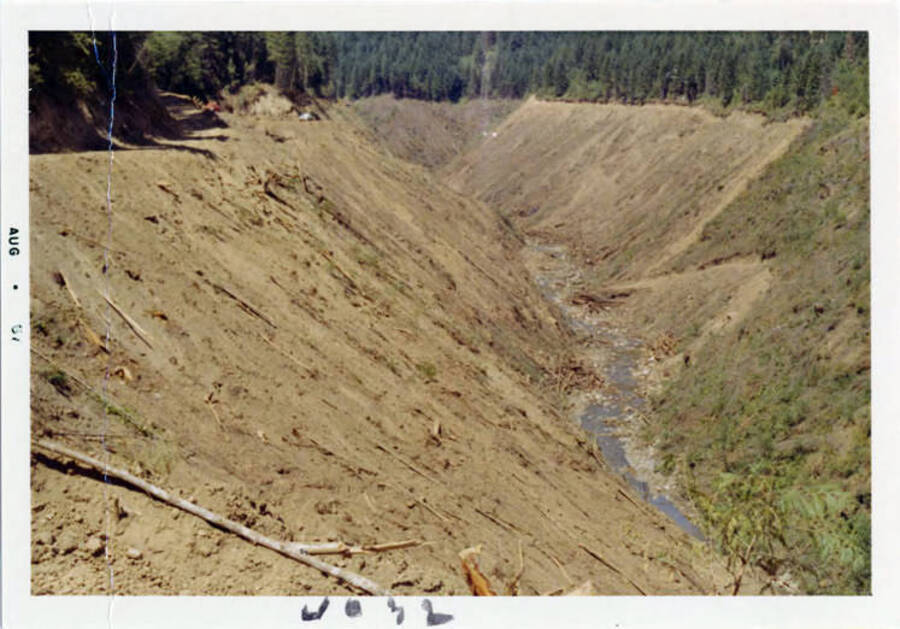 Photograph of land clearing on Elk Creek.  Elk Creek is about an 8 mile bay or arm of the big lake.