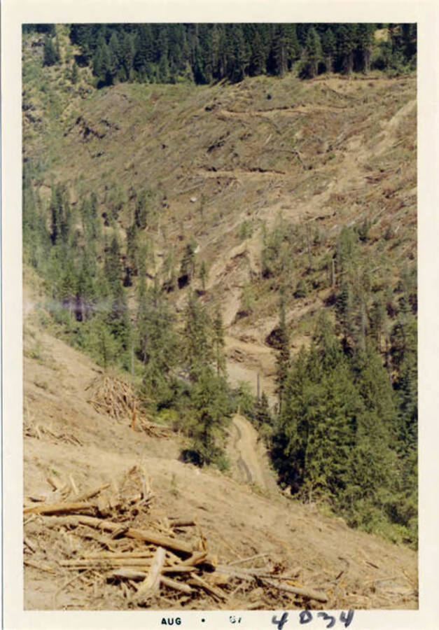 Photograph of the clearing operations.