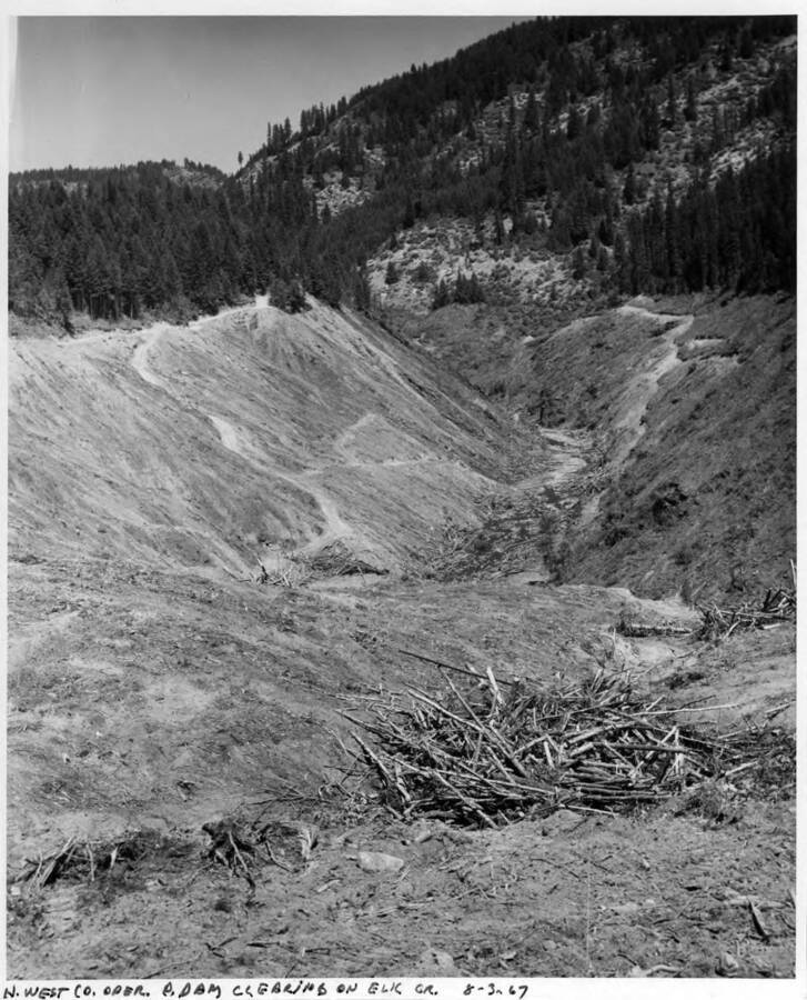 Clearing operations of the contractor on Elk Creek. Note on margin of image: "" H. West Co. oper. D. Dam clearing on Elk Cr. 8-3-67"" Note on back: ""The contractor was Herman West Co. The piles of debris in the bottom will be burned, everything up to 2 feet long and ]"" in diameter. Note how slick the clearing is done. Also, access road as in other photo. (A.B. Curtis)""