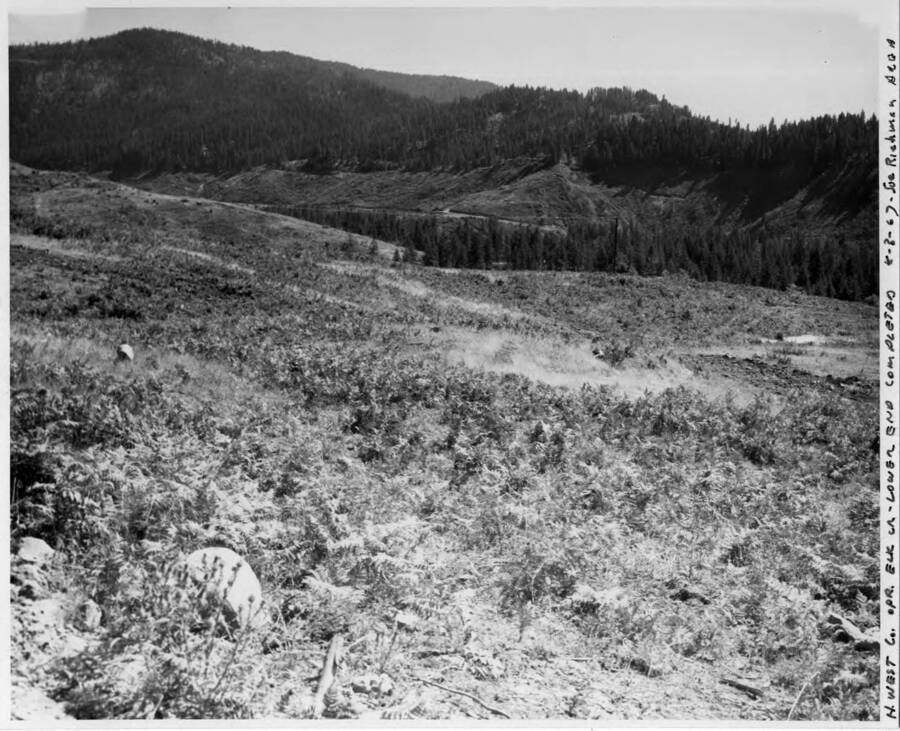 Clearing in lower Elk Creek area by Herman West Co. Note on image: ""H. West Co. Opr. Elk Cr. - Lower end completed 8-3-67 -Sue Richman