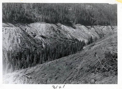 Dworshak Dam Project 109 (cleared area)