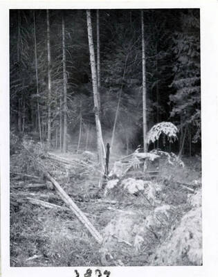 Dworshak Dam Project 154 (land clearing)