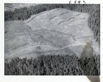 Dworshak Dam Project 161 (land clearing project)