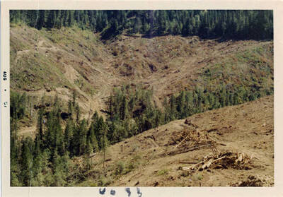 Dworshak Dam Project 185 (clearing operations)