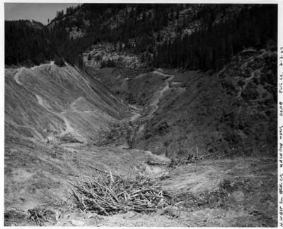 Clearing operations. Note on image: ""H. West Co. Elk Cr. Machine work done Elk Cr. 8-3-67