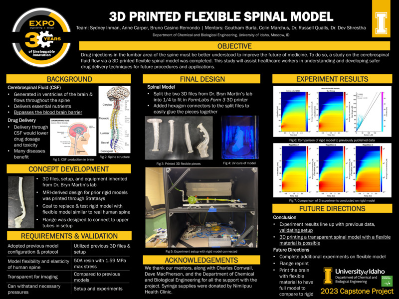 Digital poster with text blocks, data graphs, and images of drawings and models of the human spine.
