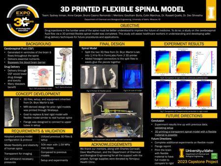Digital poster with text blocks, data graphs, and images of drawings and models of the human spine.