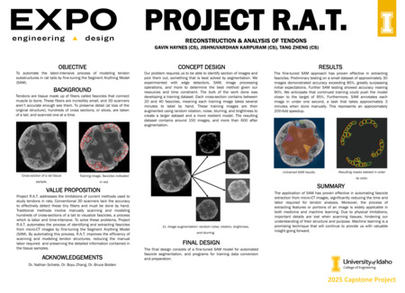 Digital poster with text blocks and images of cross sections of rat tails.