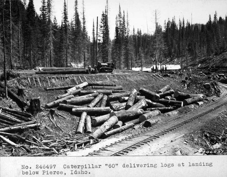 Caterpillar '60' delivering logs at landing below Pierce, Idaho.