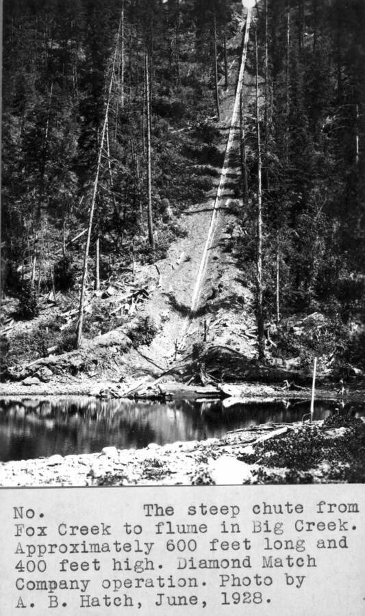 The steep chute from Fox Creek to flume in Big Creek. Approximately 600 feet long and 400 feet high. Diamond Match Company operations. Photo by A.B. Hatch, June, 1928.
