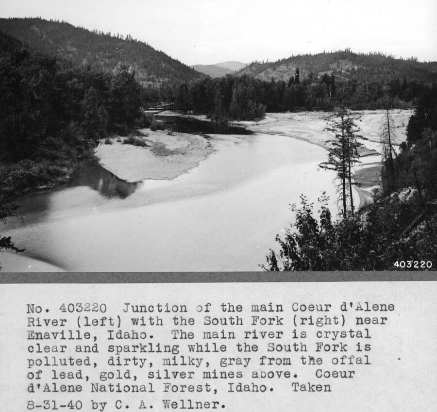 Junction of the main Coeur 'Alene River (left) with the South Fork (right) near Enaville, Idaho. The mainriver is crystal clear and sparking while the South Fork is polluted, dirty, milky, gray from the offal of lead, gold, silver mines above. CDS NF, Idaho. Taken 8-31-40 by C.A. Wellner.
