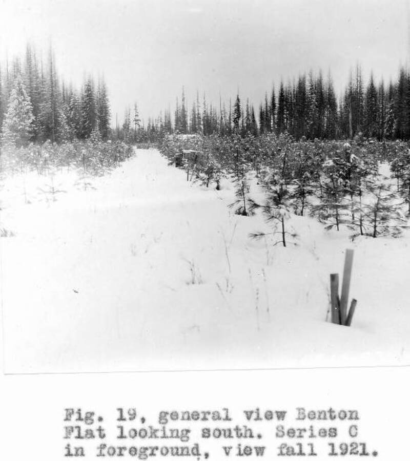 Caption reads: "Fig. 19, general view Benton Flat looking south, Series C in foreground, view fall 1921."