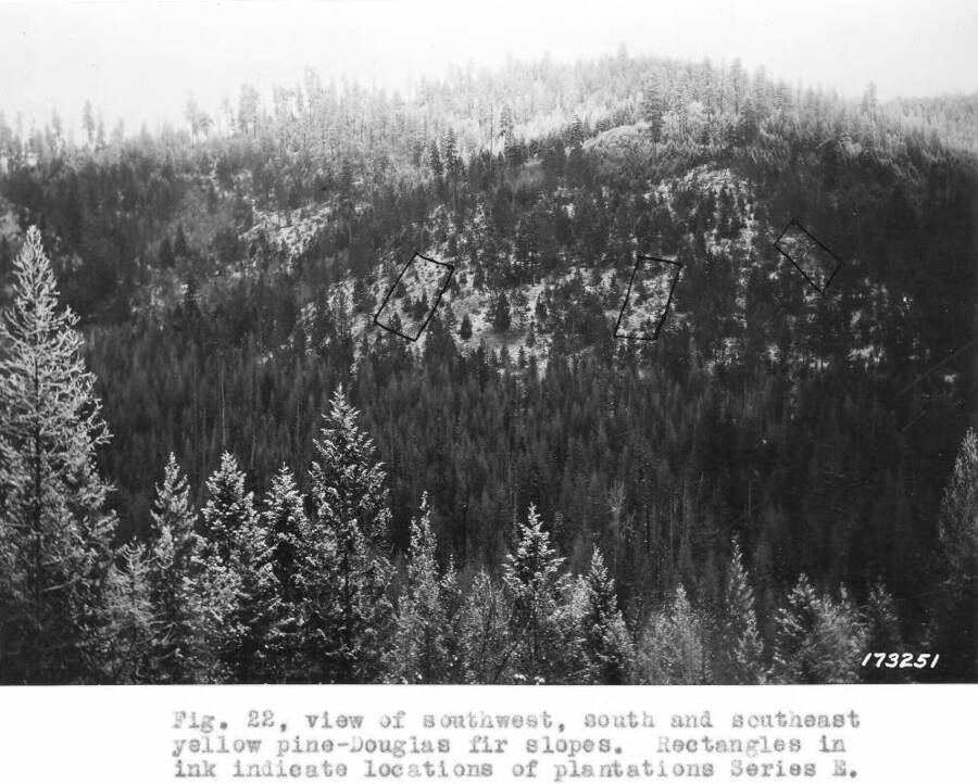 Caption reads: "view of southwest, south and southeast yellow pine-Douglas fir slopes. Rectangles in ink indicate locations of plantations Series E."