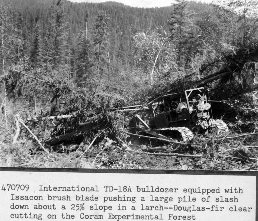 International TD-18A Bulldozer equipped with Issacon brush blade pushing a large pile of slash down about a 25% slope in a larch-Douglas fir clear cutting on the Coram Experimental Forest.