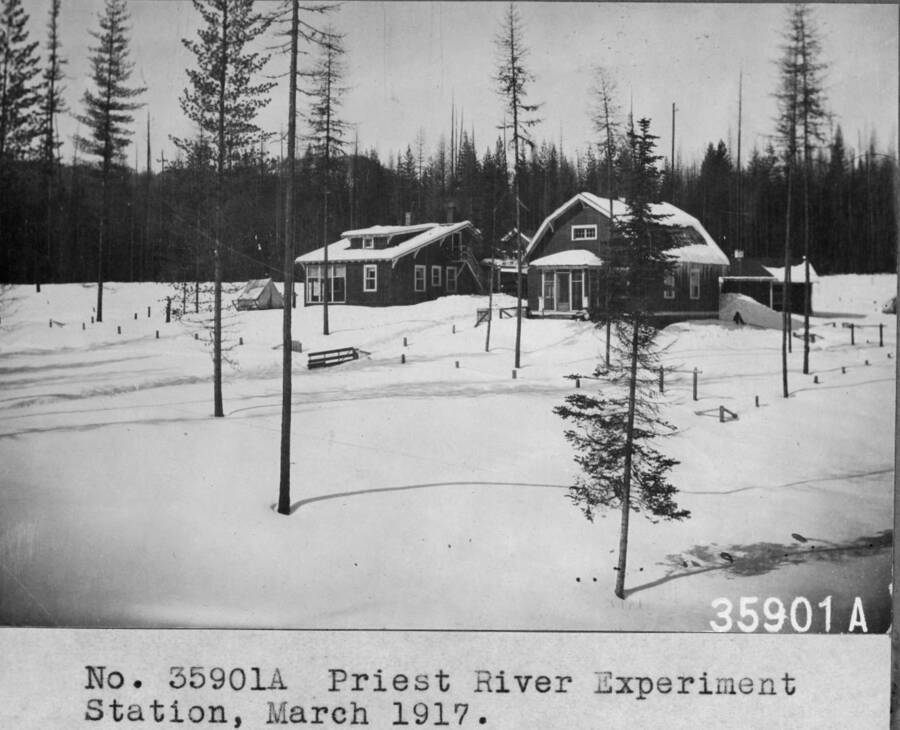 Priest River Experimental Station, March 1917.