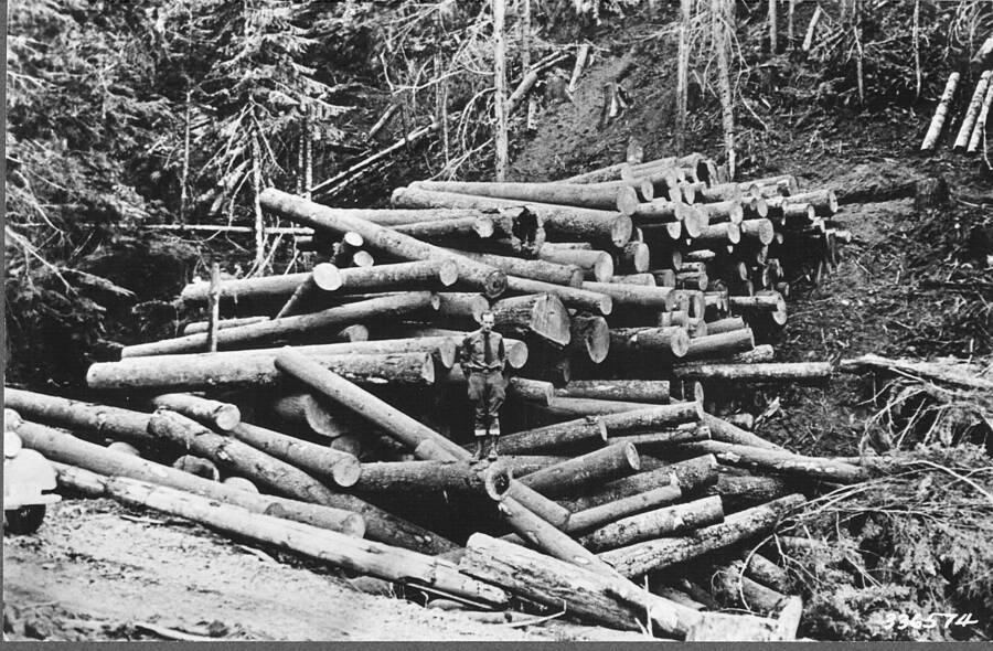 Deck of western white pine logs, Ames Creek sale, DCEF. Taken in 1935. Ken Davis standing on log deck.