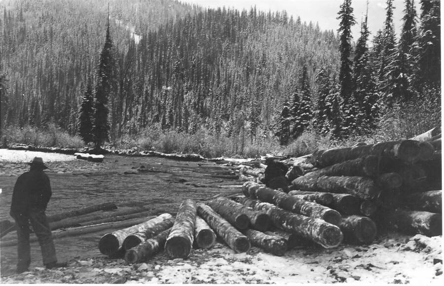 Logs from the Upper Sands Cr. Sale decked along the Little North Fork River. This picture shows the rising of the river level caused by a release of water from a splash dam one mile up stream. The logs are shoved down the river by the rising flood.